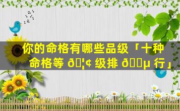 你的命格有哪些品级「十种命格等 🦢 级排 🐵 行」
